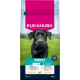Eukanuba Adult Large poulet pour chien