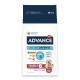 Advance Maxi Senior au poulet et riz pour chien