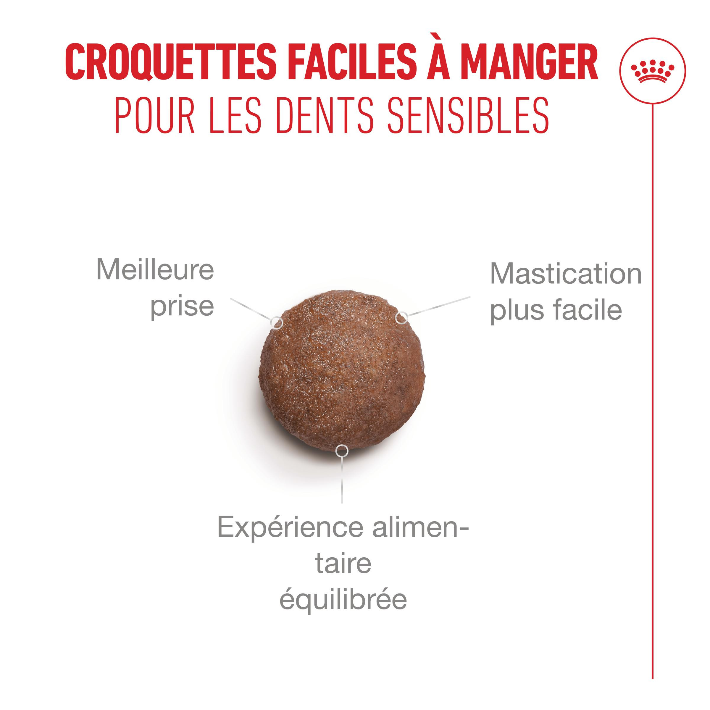 Royal Canin Ageing 15+ kattenvoer