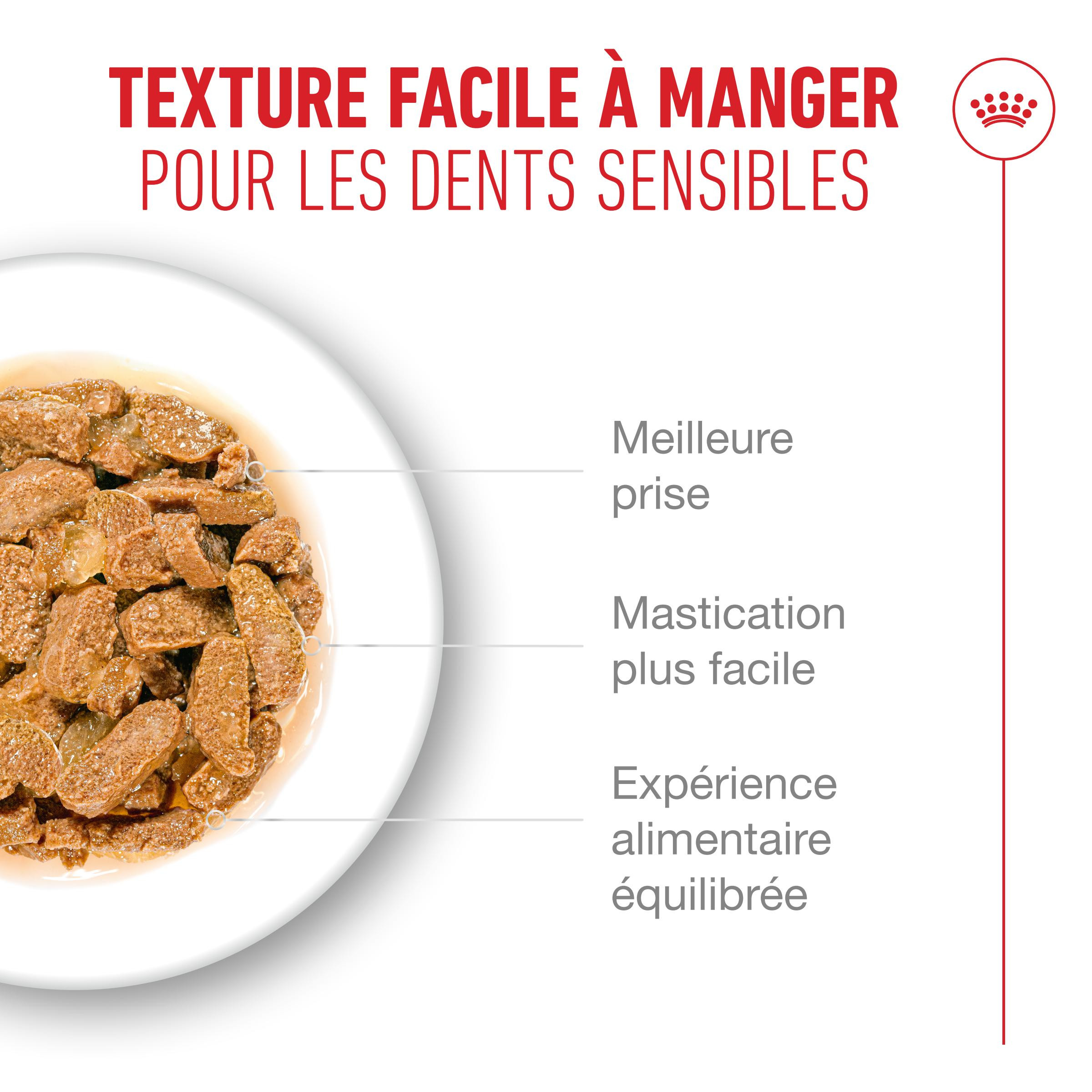 Royal Canin Ageing 11+ natvoer kat (in saus of gelei)