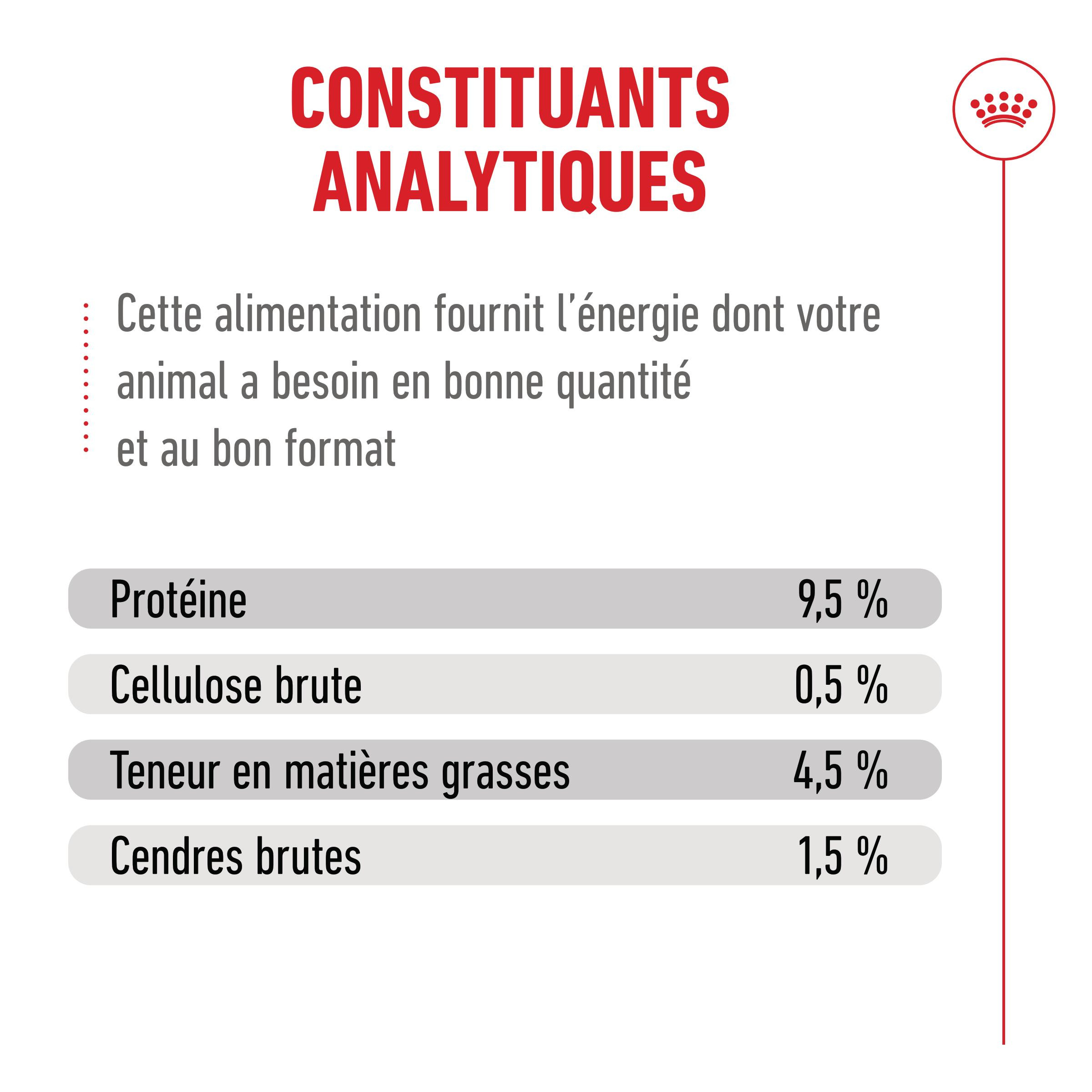 Royal Canin Ageing 11+ natvoer kat (in saus of gelei)
