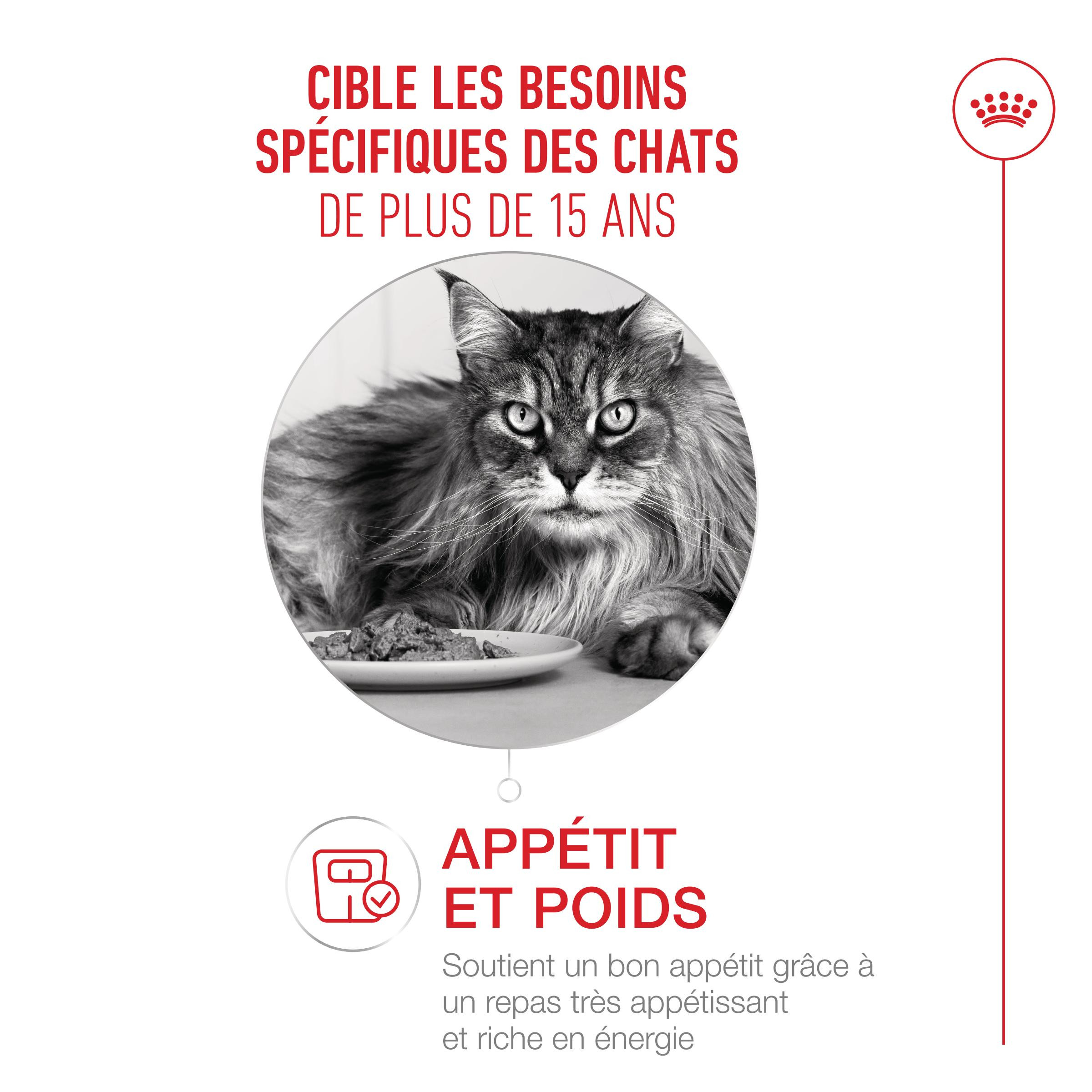 Royal Canin Ageing 15+ natvoer kat (in saus)