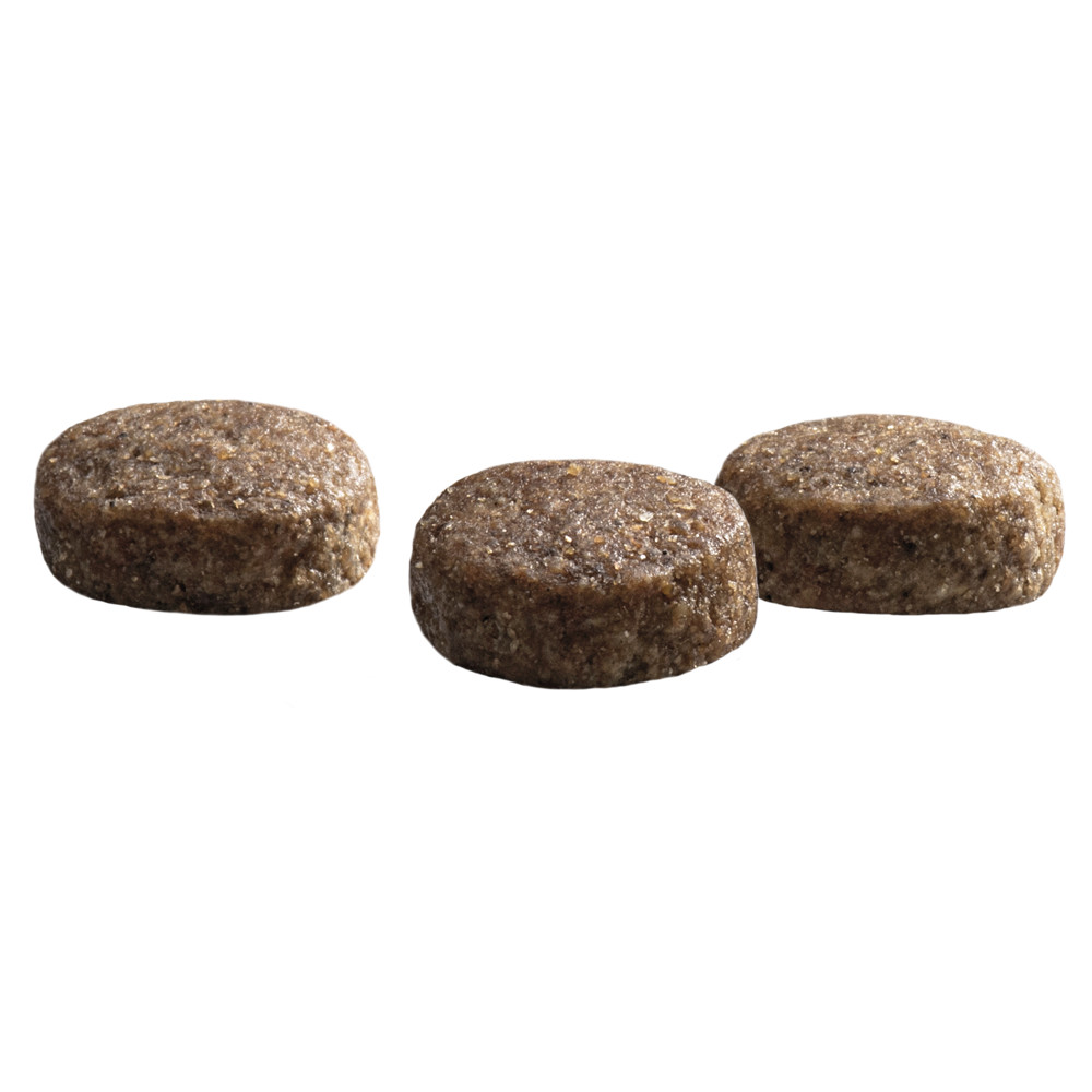 Prins ProCare Croque Senior Superieur pour chien