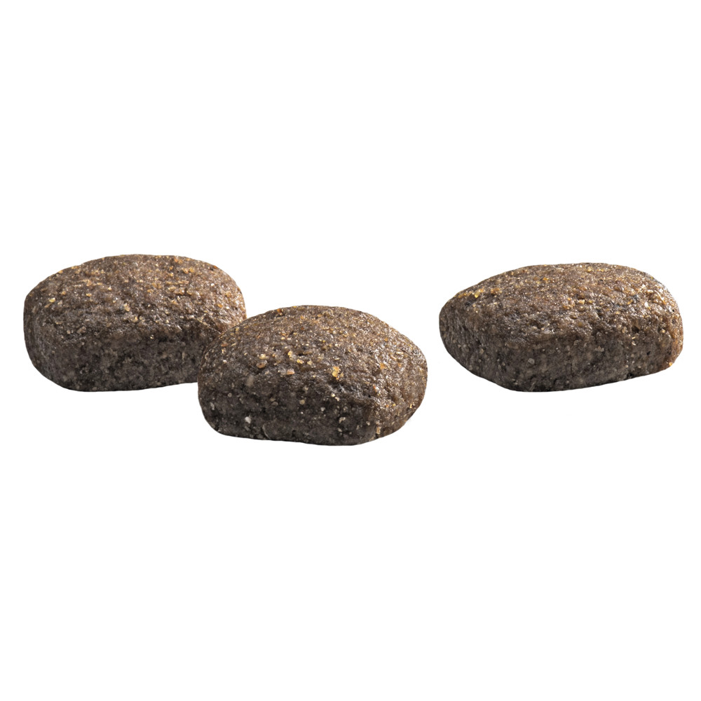 Prins ProCare Croque Super Performance pour chien