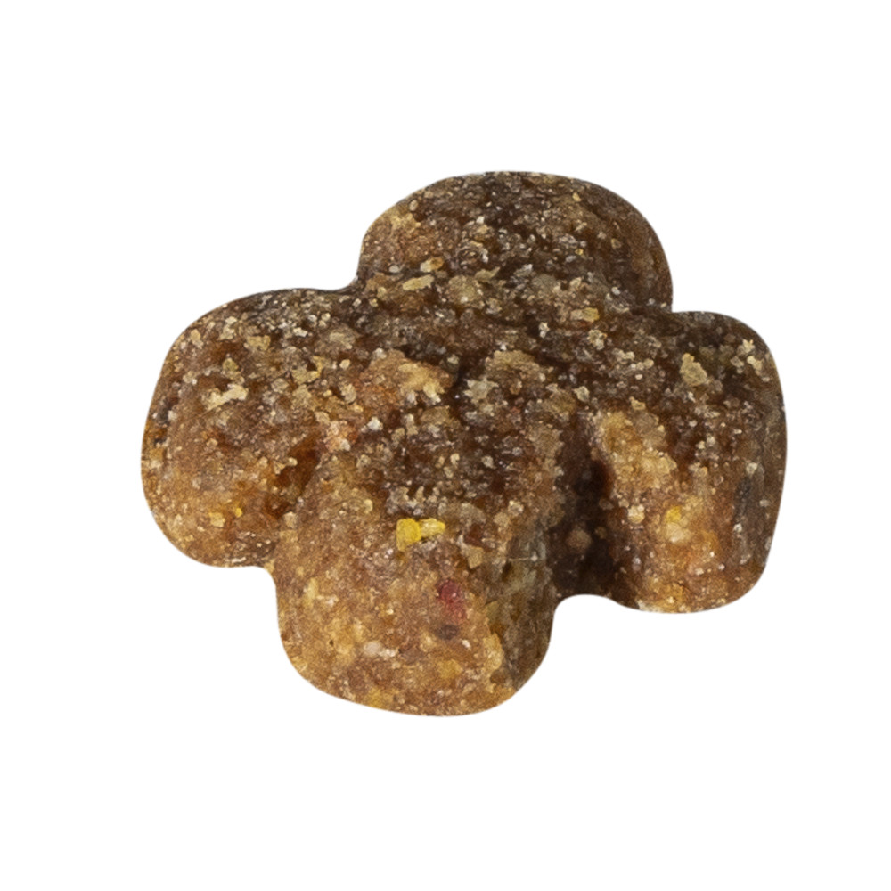 Prins Fit Selection Senior pour chien