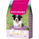 Eukanuba Puppy Medium au poulet pour chiot