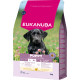 Eukanuba Puppy Large au poulet pour chiot