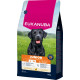 Eukanuba Junior Large au poulet pour chien