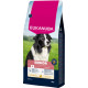 Eukanuba Senior Medium au poulet pour chien
