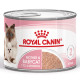 Royal Canin Mother & Babycat pâtée pour chat (en mousse)