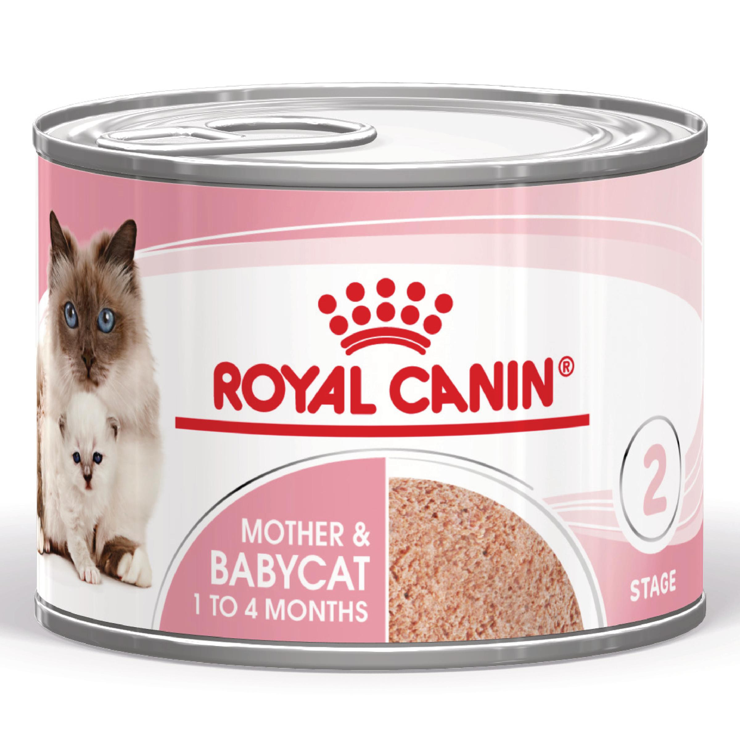 Royal Canin Mother & Babycat pâtée pour chat (en mousse)