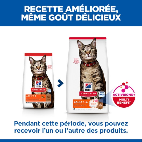 Hill's Adult à l'agneau pour chat