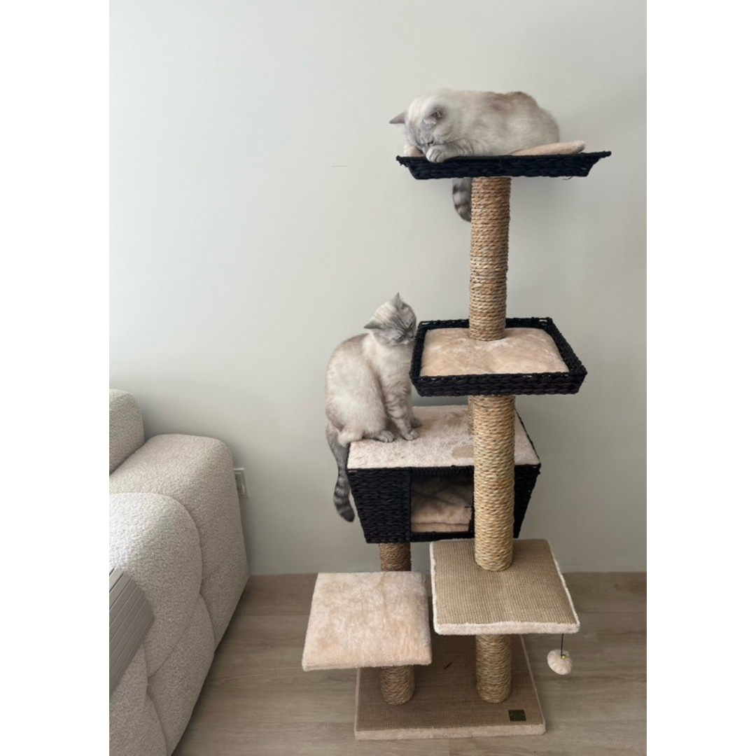 Krabpaal Trend Tree Curacao 48x48x141cm