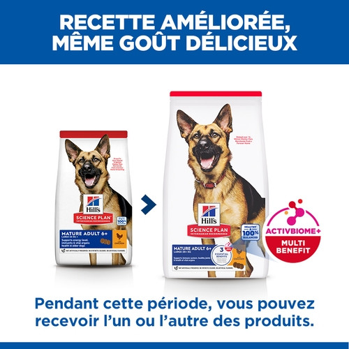 Hill's Mature Adult Large Breed au poulet pour chien