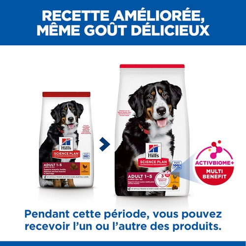 Hill's Adult Large au poulet pour chien