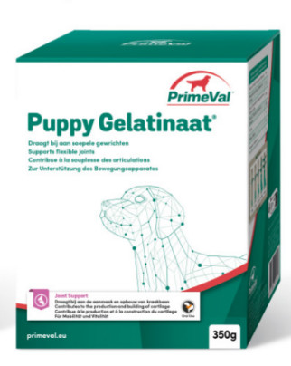 Primeval Gélatine pour chiot