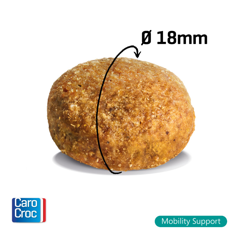 CaroCroc 26/12 Mobility Support hondenvoer