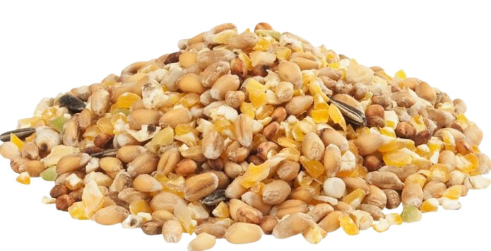 Versele Laga Country's Best GRA-Mix céréales ardennaises pour volailles