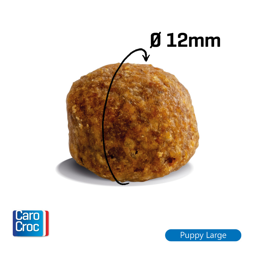 CaroCroc 25/17 Chiot Puppy Large (Junior)