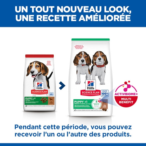 Hill's Puppy Medium à l'agneau et riz pour chiot