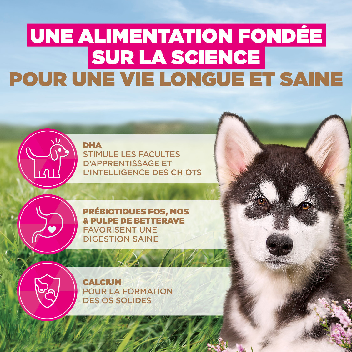 Eukanuba Puppy & Junior L/XL graanvrij zeevis hondenvoer