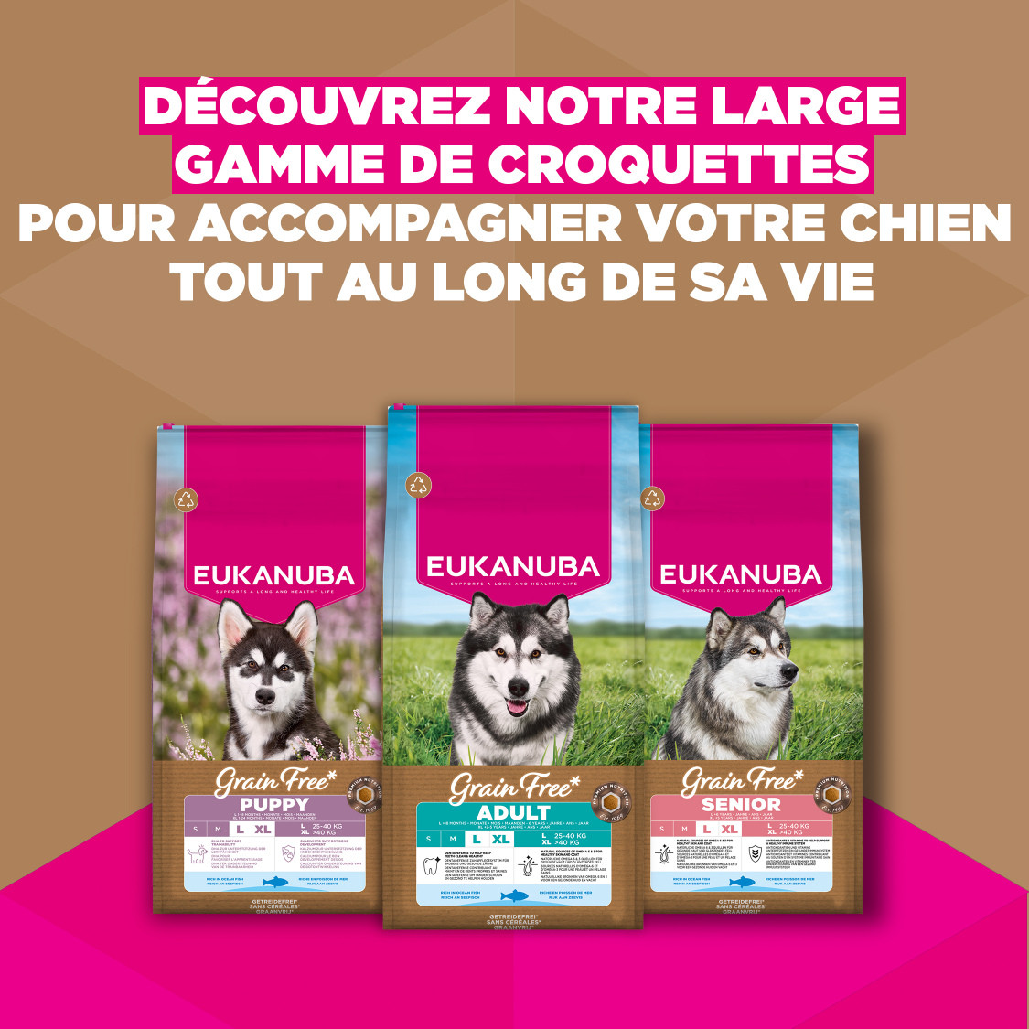 Eukanuba Adult L/XL graanvrij zeevis hondenvoer