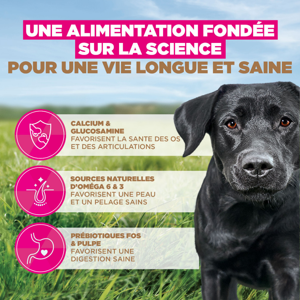 Eukanuba Adult Large kip graanvrij hondenvoer