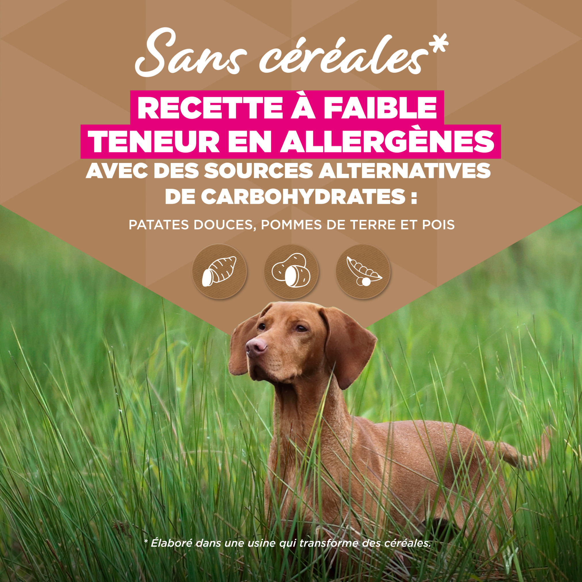 Eukanuba Adult Large kip graanvrij hondenvoer