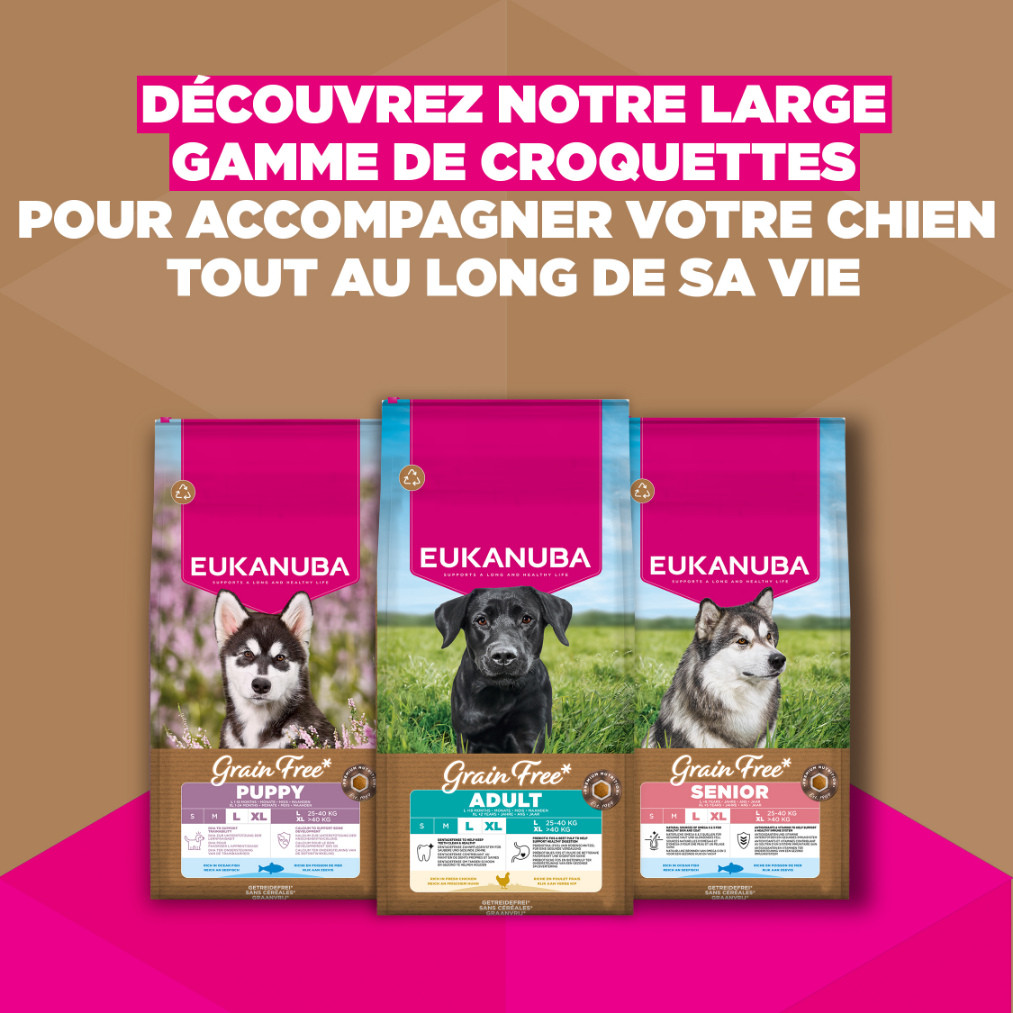 Eukanuba Adult Large kip graanvrij hondenvoer