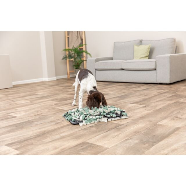 Trixie Activity Tapis pour chien et chat