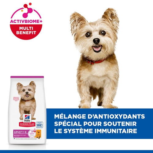 Hill’s Adult Small & Mini au poulet pour chien