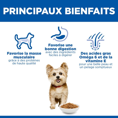 Hill’s Adult Small & Mini au poulet pour chien