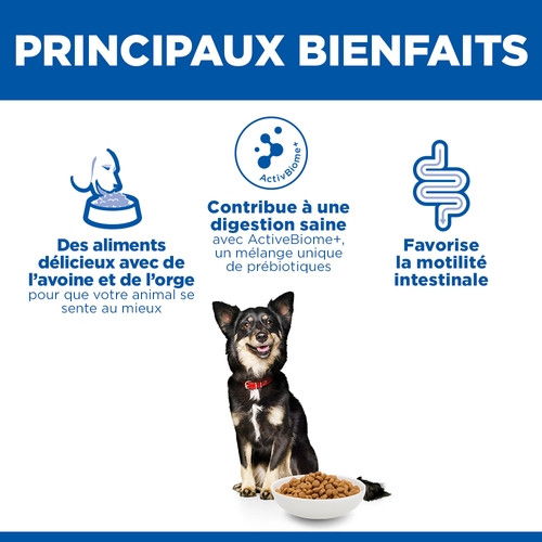 Hill's Adult Perfect Digestion Small&Mini met kip & bruine rijst hondenvoer