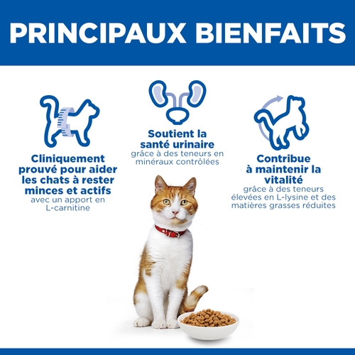 Hill's Adult Sterilised Cat met zalm kattenvoer