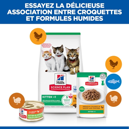 Hill's Kitten au poulet pour chaton