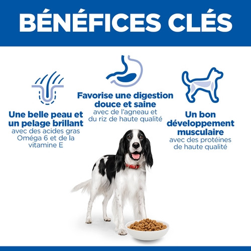 Hill's Adult Medium à l’agneau et riz pour chien