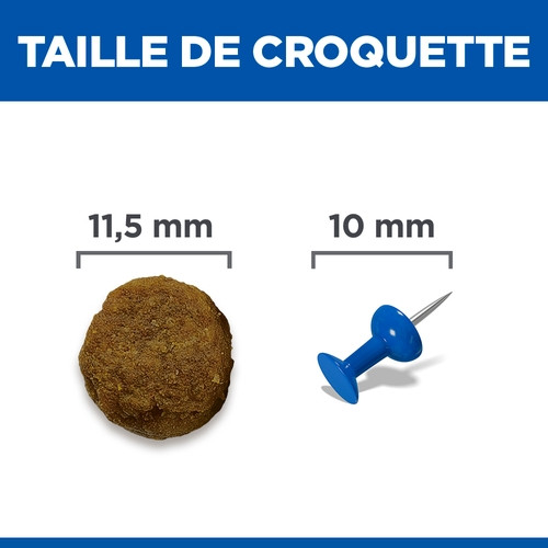 Hill's Adult Medium à l’agneau et riz pour chien