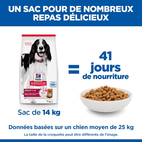 Hill's Adult Medium à l’agneau et riz pour chien