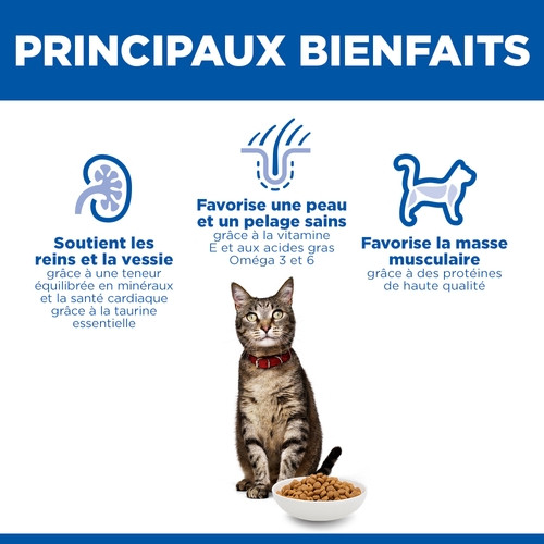 Hill's Adult Optimal Care Lamm Katzenfutter 