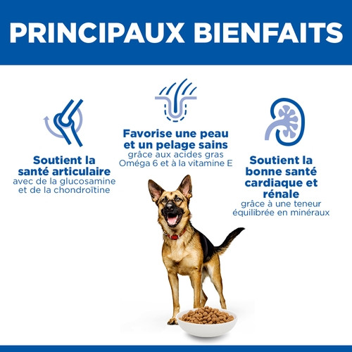 Hill's Mature Adult Large Breed au poulet pour chien