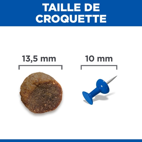 Hill's Puppy Large au poulet pour chiot