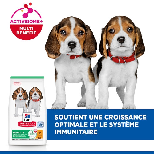 Hill's Puppy Medium au poulet pour chiot