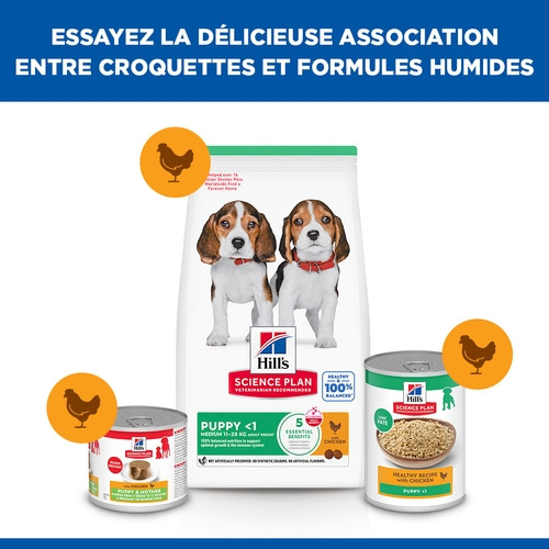 Hill's Puppy Medium au poulet pour chiot