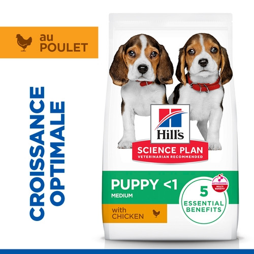 Hill's Puppy Medium au poulet pour chiot