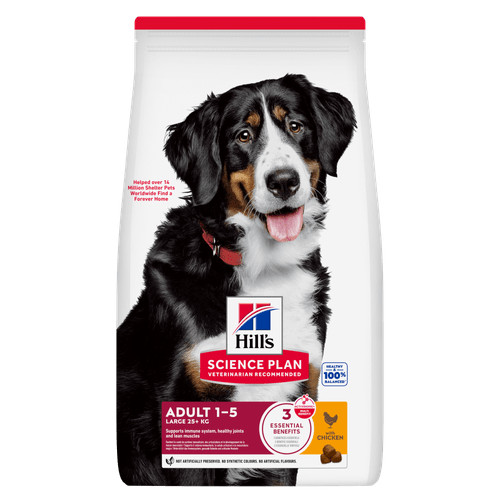 Hill's Adult Large au poulet pour chien