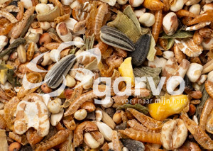 Garvo Pride Treats 2070 friandises pour poules