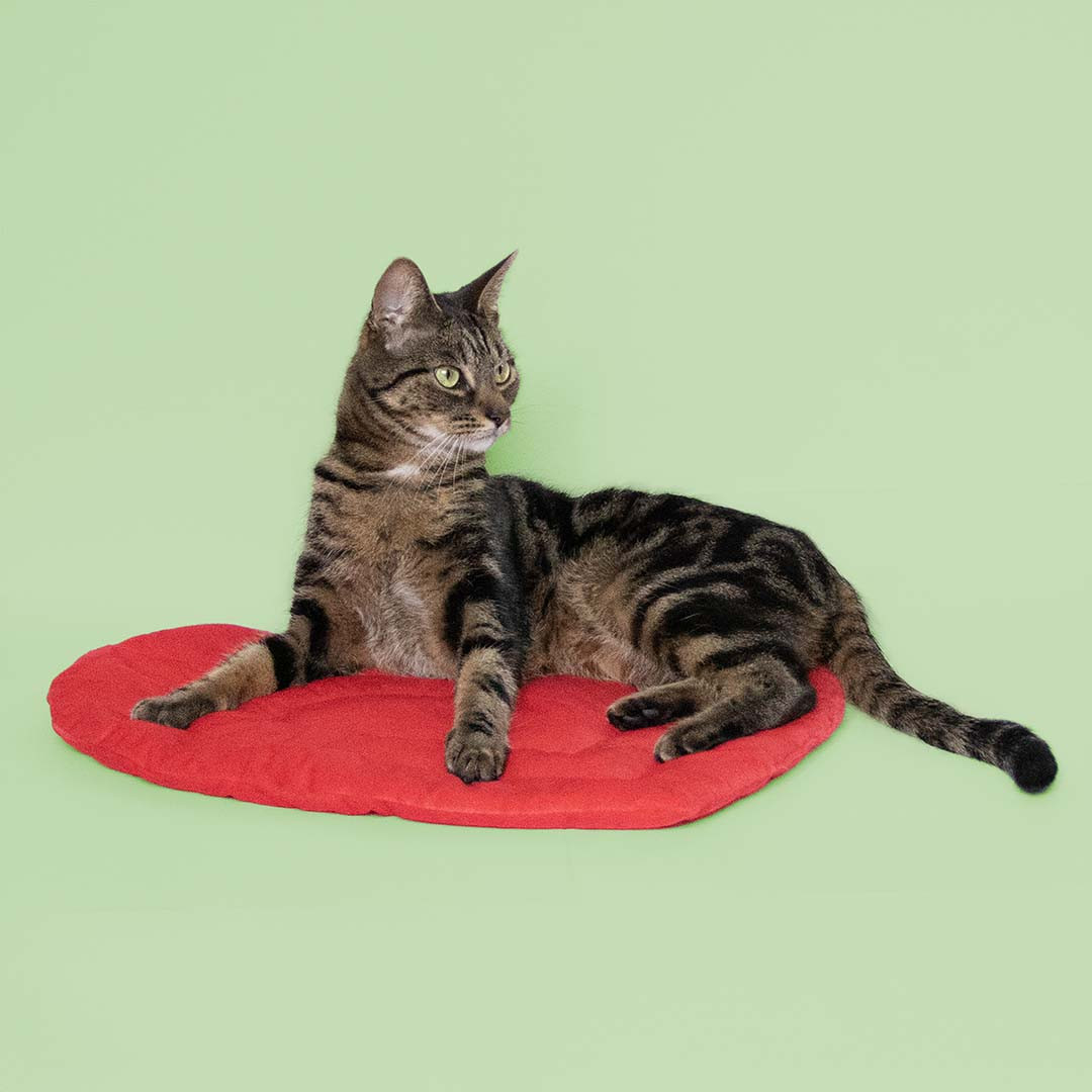 Be Mine kattenplaid hartvorm rood