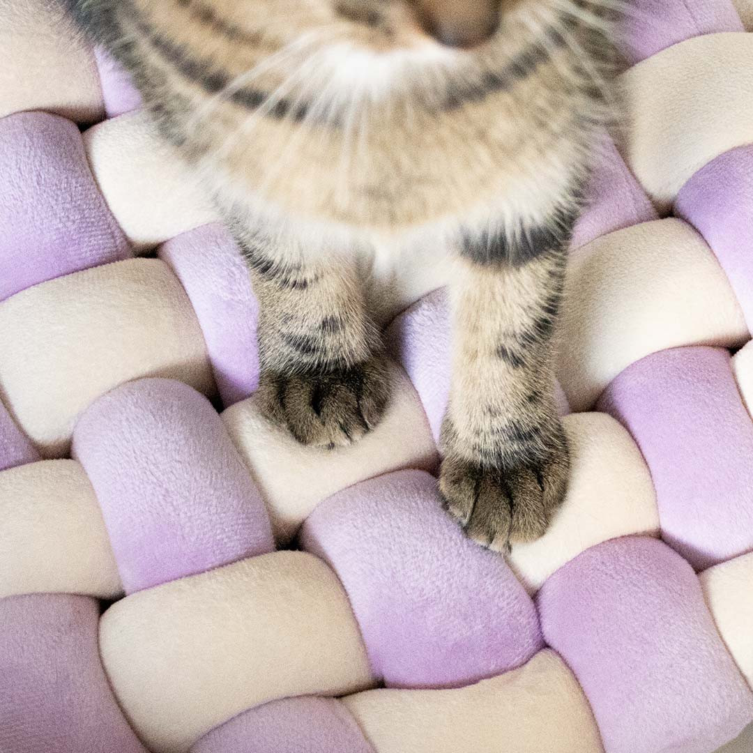 Velvet Vibe kattenkussen