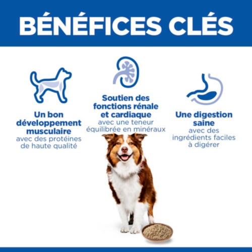 Hill's Mature Adult 7+ nat hondenvoer met rund blik