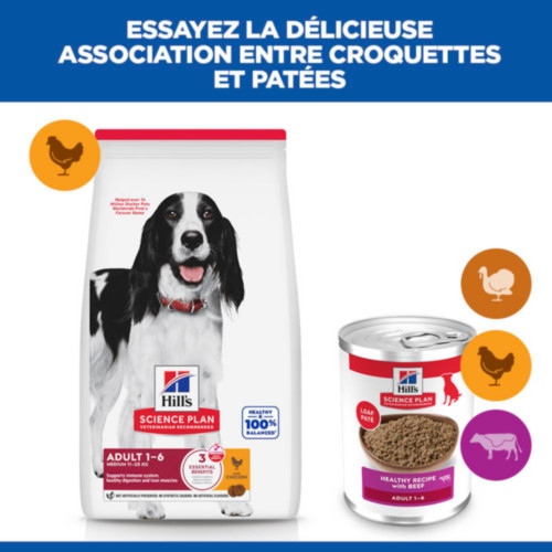 Hill's Adult au bœuf pour chien (boîte 370 g)